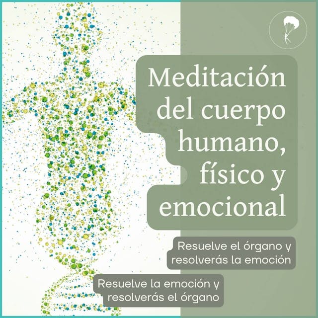Meditación del cuerpo humano, físico y emocional